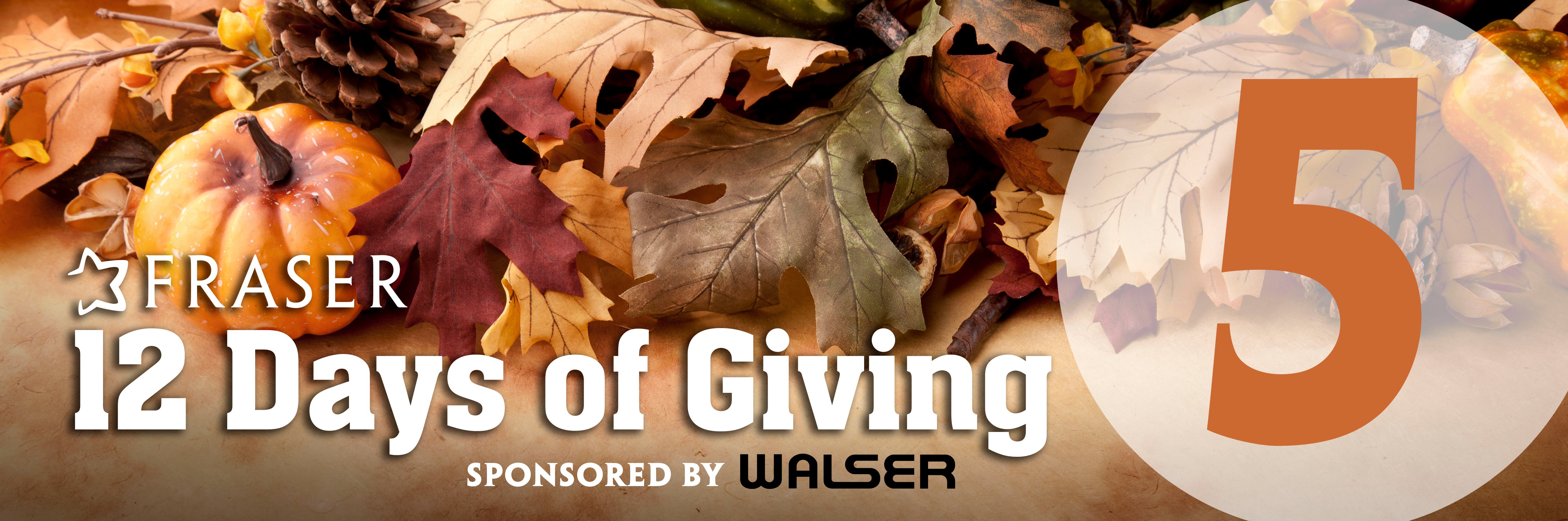 12 Days of Giving: Mental Health